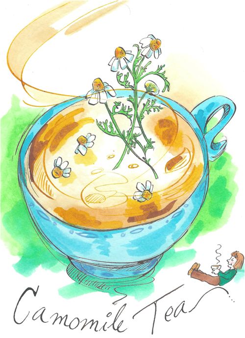 Camomile Tea