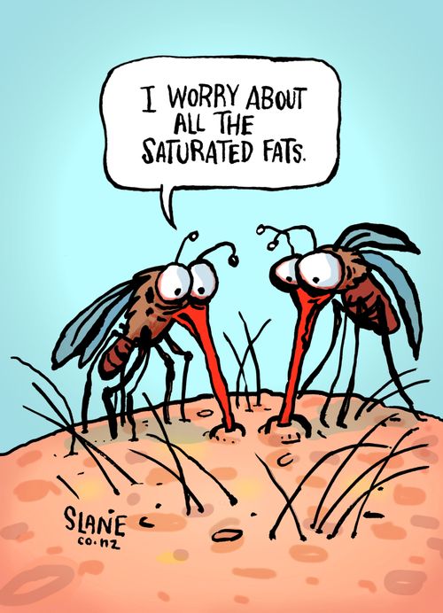 Mosquito Worry About Saturated Fats
