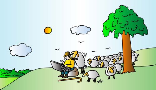 Modern Shepherding