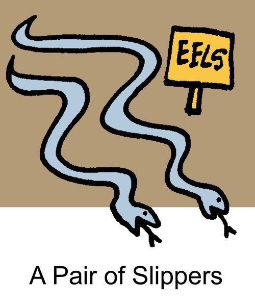 A Pair of Slippers