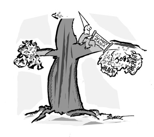 Climate mania cuts off 