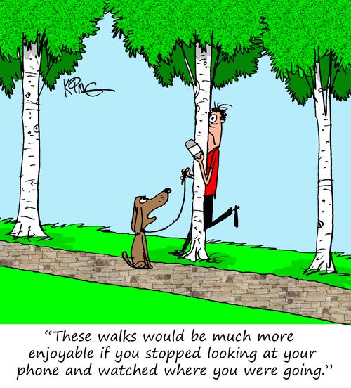 "These walks would be much more enjoyable if you stopped looking at your phone and watched where you were going."