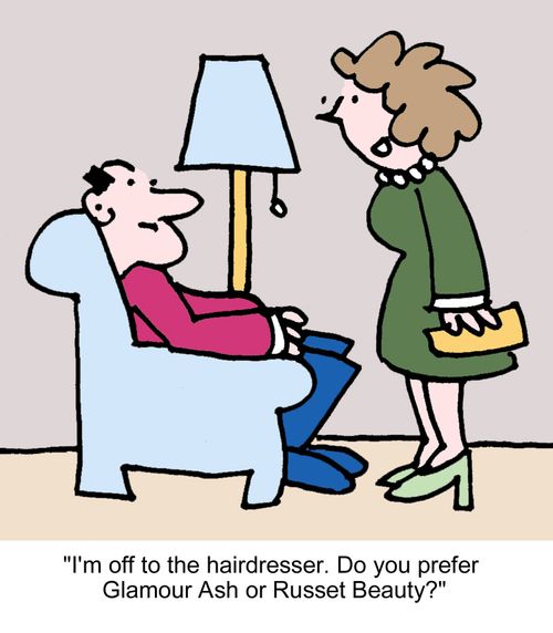 "I'm off to the hairdresser. Do you prefer Glamour Ash or Russet Beauty?"