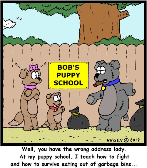 "Well, you have the wrong address lady. At my puppy school, I teach how to fight and how to survive eating out of garbage bins..."
