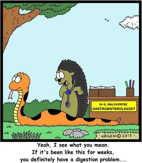 "Yeah, I see what you mean. If it's been like this for weeks, you definitely have a digestion problem..."