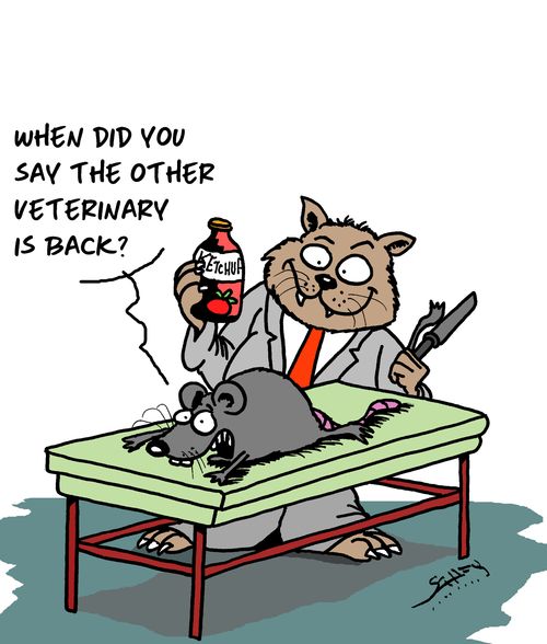 "When did you say the other veterinary is back?"