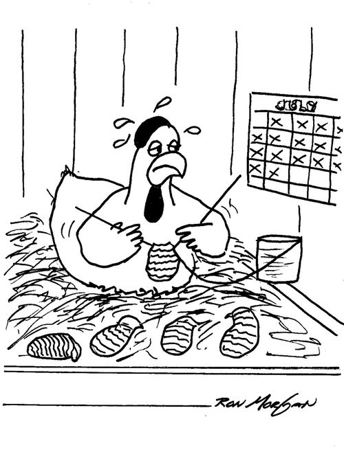 Exhausted brooder hen knits furiously as she keeps an eye on the calendar.