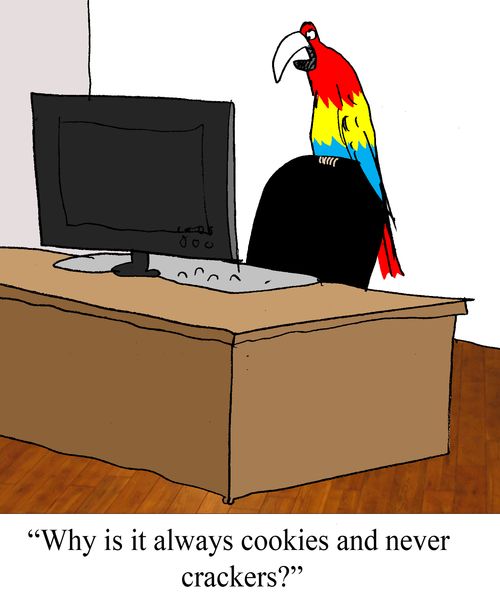 "Why is it always cookies and never crackers?"