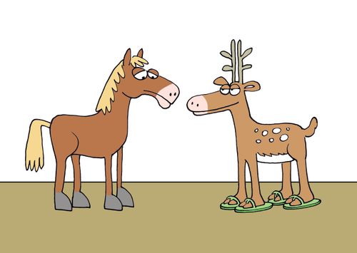 Deer with flip-flops