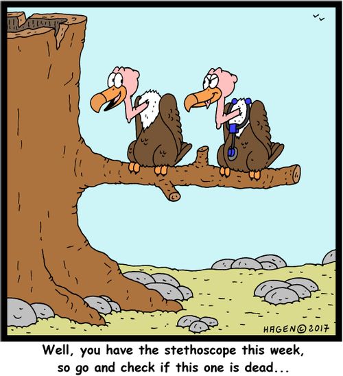 "Well, you have the stethoscope this week, so go and check if this one is dead..."