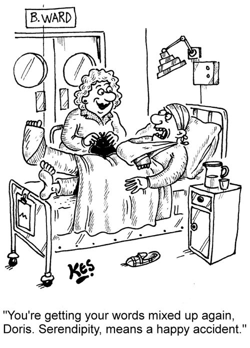 "You're getting your words mixed up again, Doris. Serendipity, means a happy accident."