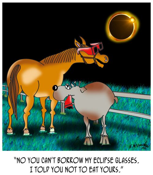"No you can't borrow my eclipse glasses. I told you not to eat yours."