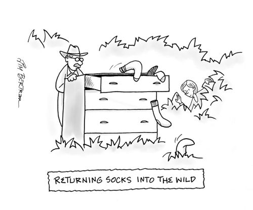 Returning socks into the wild.