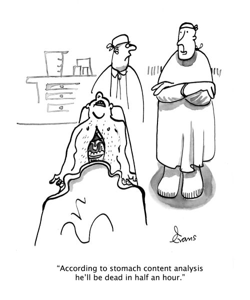"According to stomach content analysis he'll be dead in half an hour."