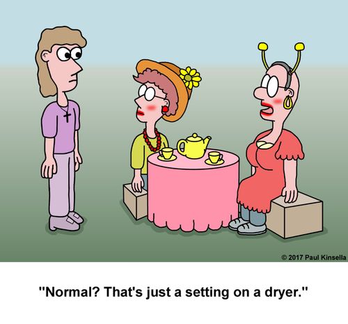 "Normal? That's just a setting on a dryer."