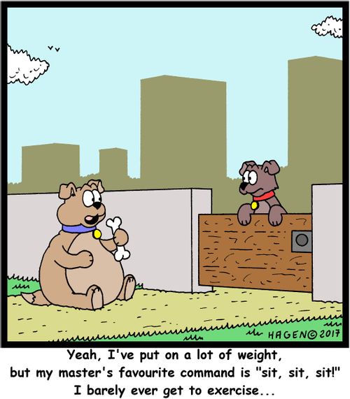 "Yeah, I've put on a lot of weight, but my master's favourite command is "sit, sit, sit!" I barely ever get to exercise..."