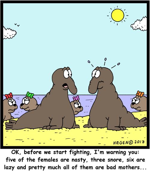 "OK, before we start fighting, I'm warning you: five of the females are nasty, three snore, six are lazy and pretty much all of them are bad mothers..."