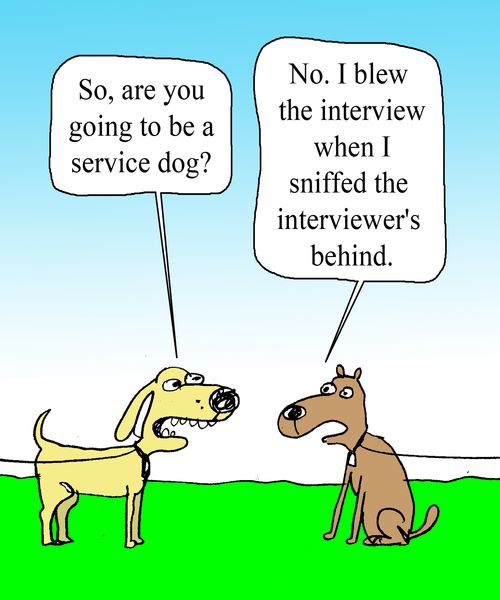 "No. I blew the interview when I sniffed the interviewer's behind."