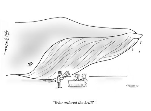 "Who ordered the krill?"