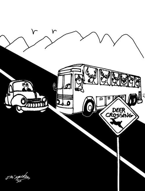 Deer Crossing