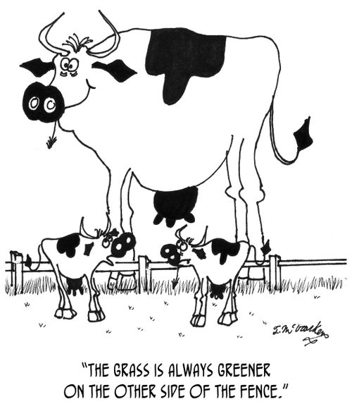 "The grass is always greener on the other side of the fence."