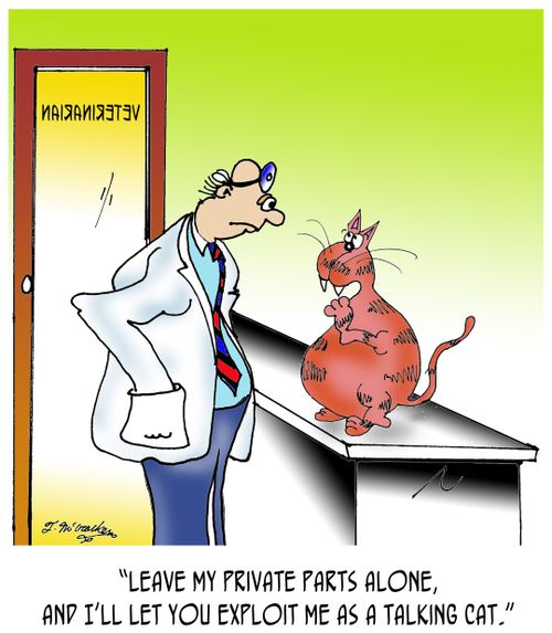 "Leave my private parts alone, and I'll let you exploit me as a talking cat."