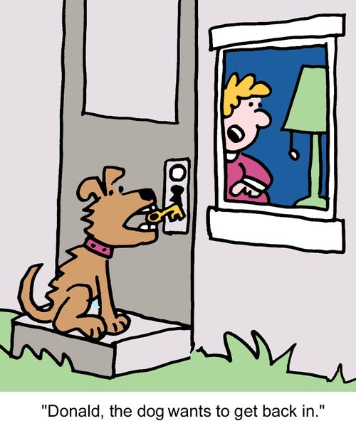 "Donald, the dog wants to get back in."