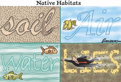 Native Habitats: Trump/Lies