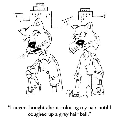 "I never thought about coloring my hair until I coughed up a gray hair ball."