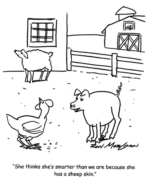 "She thinks she's smarter than we are because she has a sheep skin."