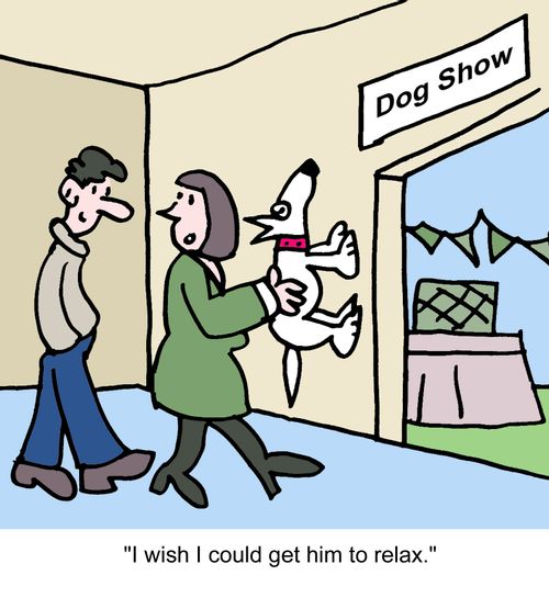 "I wish I could get him to relax."