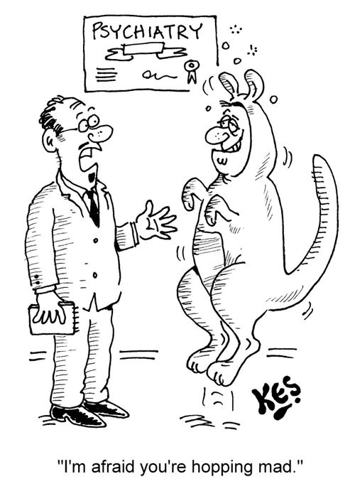 "I'm afraid you're hopping mad."