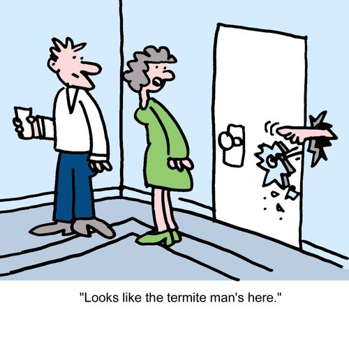 "Looks like the termite man's here."