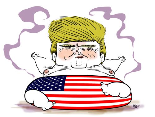 Trump and the USA Flag Diaper