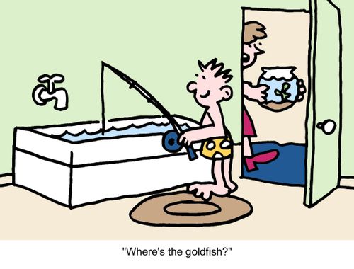 "Where's the goldfish?"