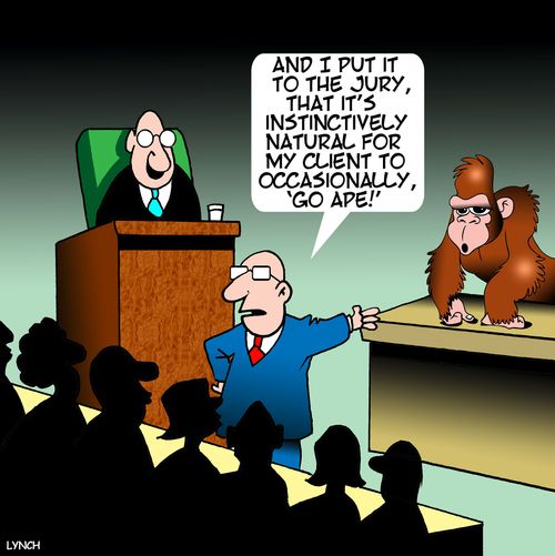 "And I put it to the jury, that it's instinctively natural for my client to occasionally, 'Go Ape!'"