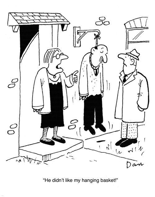 "He didn't like my hanging basket!"