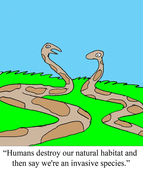 "Humans destroy our natural habitat and then say we're an invasive species."