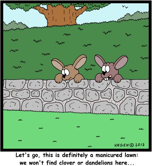 "Let's go, this is definitely a manicured lawn: we won't find clover or dandelions here..."
