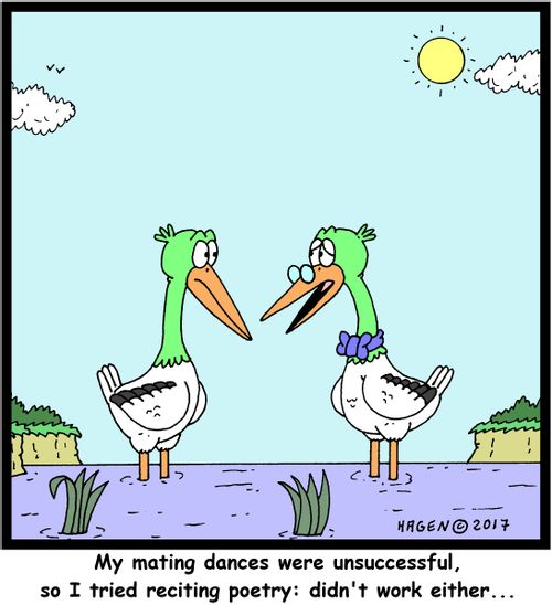"My mating dances were unsuccessful, so I tried reciting poetry: didn't work either..."