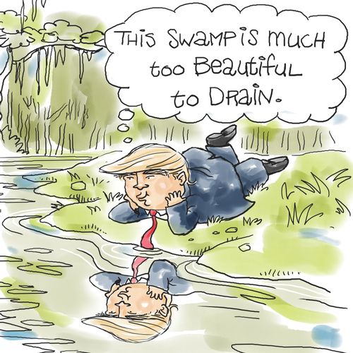 "This swamp is much too beautiful to drain.".