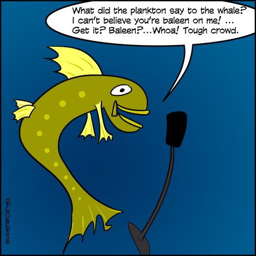 "What did the plankton say to the whale? I can't believe you're baleen on me!...Get it? Baleen?....Whoa! Tough crowd." 