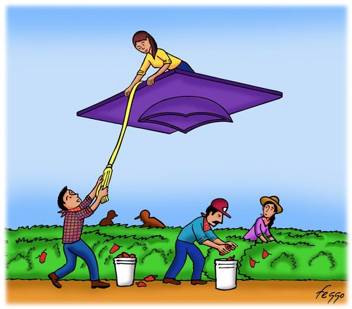 Education to the Rescue