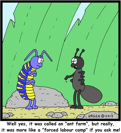 "Well yes, it was called an "ant farm", but really, it was more like a "forced labour camp" if you ask me!"