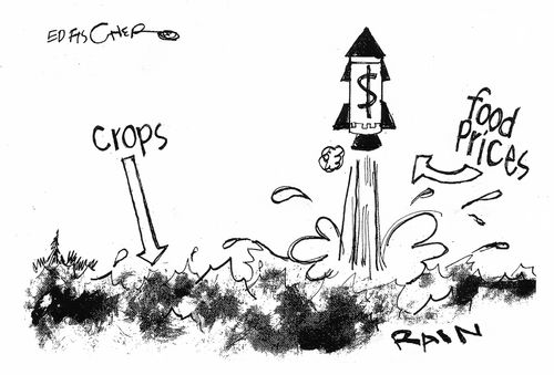 Crops and Food Prices.