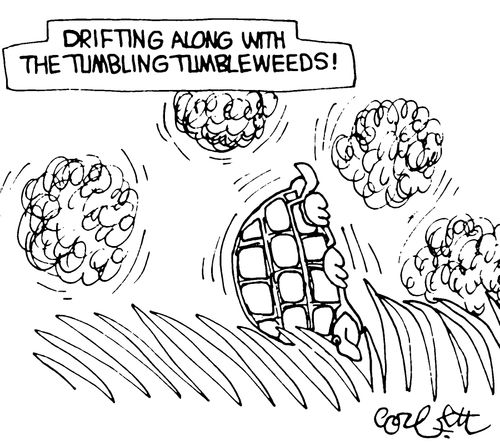 Drifting along with the tumbling tumbleweeds!