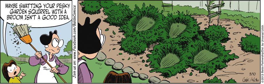 "Maybe swatting your pesky garden squirrel with a broom isn't a good idea."