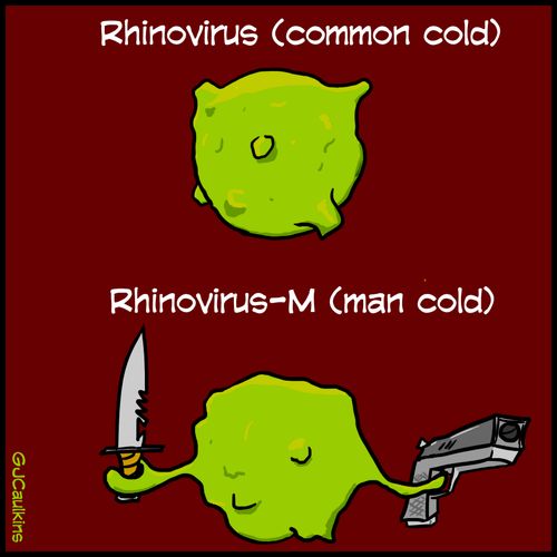 Rhinovirus (Common Cold) vs Rhinovirus-M (Man Cold)