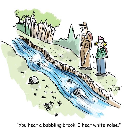 "You hear a babbling brook. I hear white noise."