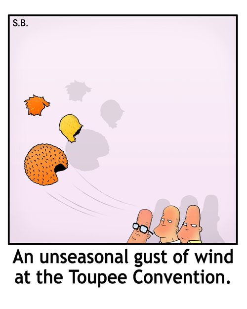 An unseasonal gust of wind at the Toupee Convention.